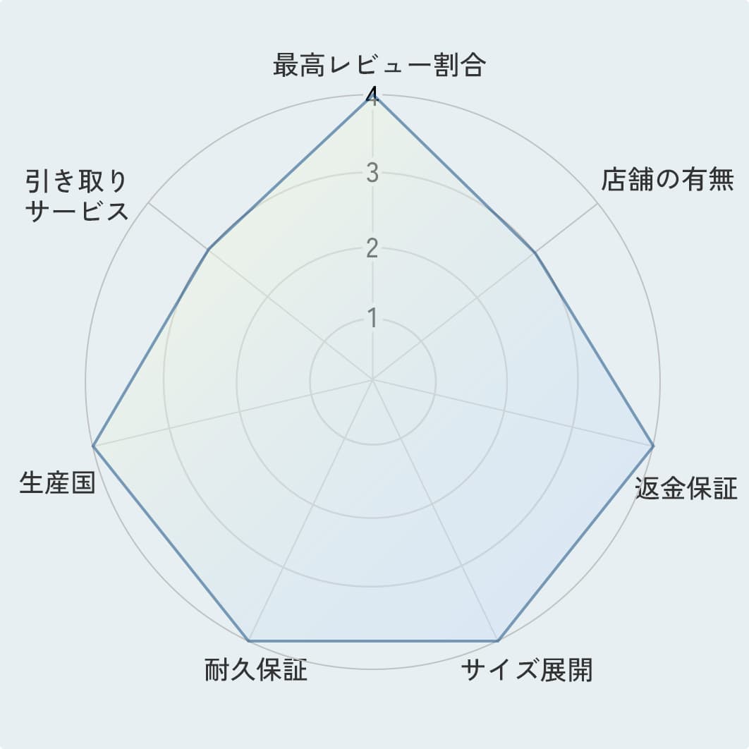 評価ポイントのレーダーチャート