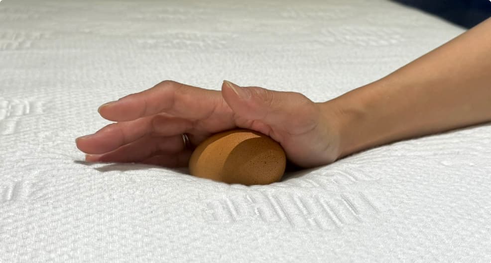 卵を使って圧力分散性の高さを試している様子